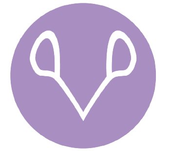 Femtek logo